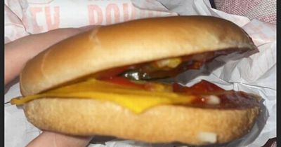 Woman disgusted at McDonald's after being 'given cheeseburger without the burger'