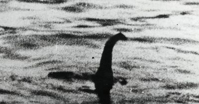 Loch Ness monster mystery 'solved' by woman who 'knows exactly what it is'