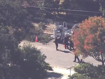 Tree trimmer killed after falling into wood chipper in California