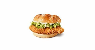 McDonald's adds first new chicken burger to menu in 15 years - the McCrispy