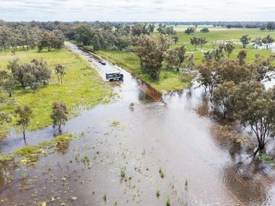 Town evacuated as NSW floodwaters rise