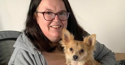 Leeds mum devastated after her dog is killed in front of her on her daily walk