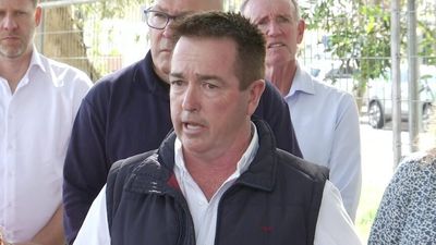 Sydney news: NSW Deputy Premier and Police Minister Paul Toole 'devastated' over brother's drug arrest