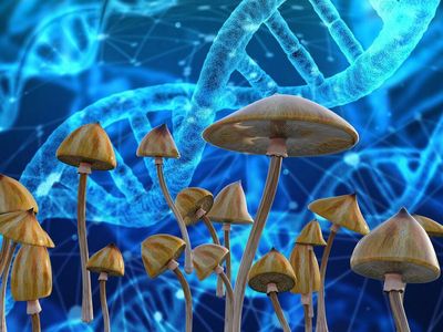 Compass Pathways Will Lead Two Concurrent Phase 3 Trials On Psilocybin-Assisted Therapy For Depression