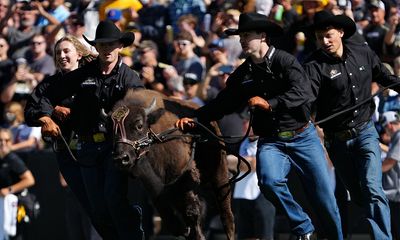 Cal vs Colorado Prediction, Game Preview