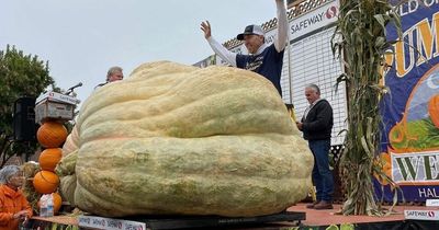 Teacher grows enormous record-breaking pumpkin that weighs as much as 12 grown men