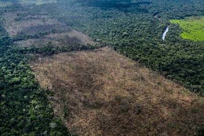 UK ‘complicit’ in Amazon destruction, campaigners warn