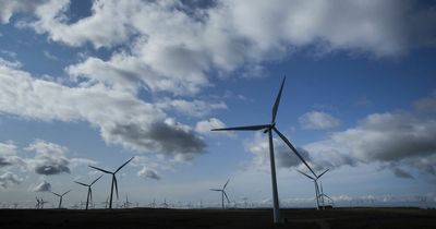 Renewable energy generation hits record high