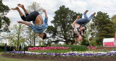 Circus takes Floriade to new heights ahead of Canberra show