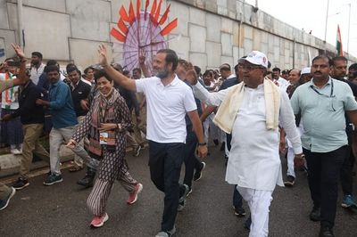 Congress Bharat Jodo Yatra Day 36: Rahul Gandhi Resumes Yatra From Bommagondanahalli In Karnataka
