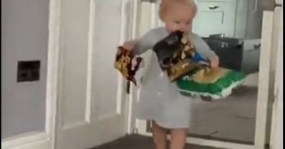 Footage of toddler raiding snack cupboard becomes viral sensation