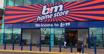 Shoppers spot ‘stunning’ Christmas dinner items in B&M stores