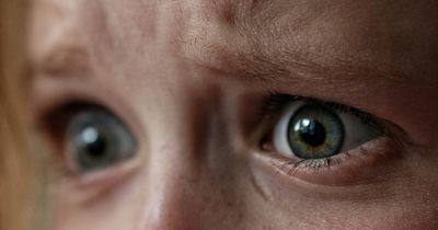 Experts warn false widow spiders could invade Dublin homes within days