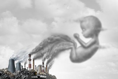 Air pollution squirrels into the unborn