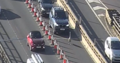 Swan brings traffic to standstill on Glasgow's Kingston Bridge during rush hour