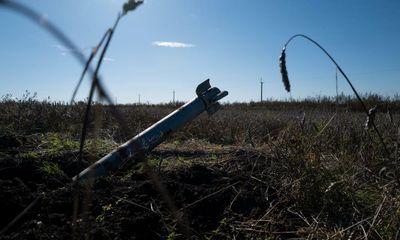 Germany still a ‘teenager’ in leading foreign security policy, says Scholz aide