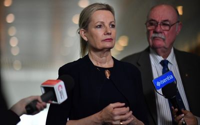 Debate on tax gets ugly as Sussan Ley takes on Teal independents