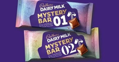 Cadbury finally announces mystery bar flavours - after months of guessing