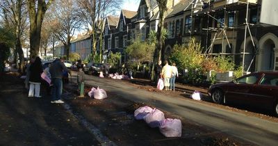 Council sparks fury after telling residents to sweep up leaves from their own street