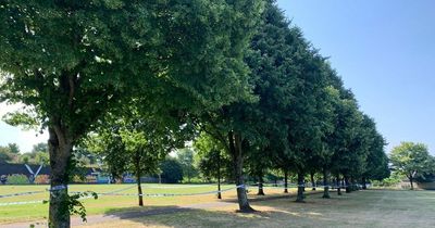 Man sexually assaulted in Cardiff park, police appeal for information