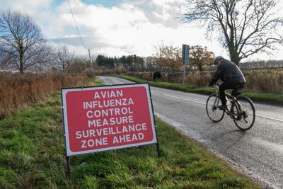 Avian flu warning as restriction zone placed around village in Outer Hebrides