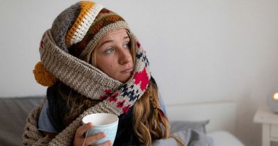 Home expert reveals three 'cheap' heating hacks that could actually cost you more