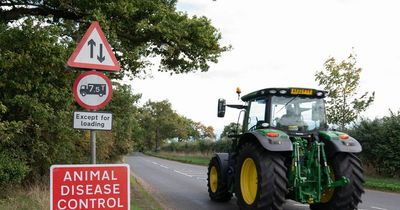 Avian flu confirmed on Scottish island as 3km cordon put in place