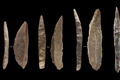 Research sheds light on modern humans and Neanderthals co-existing in France