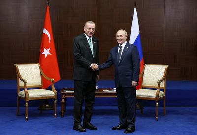 Putin courts Erdogan to pump more Russian gas through Turkey