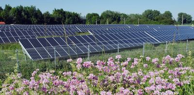 Solar farms a 'blight on the landscape'? Research shows they can benefit wildlife