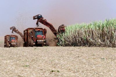Cloudy skies for Brazil sugar and ethanol as country heads back to polls