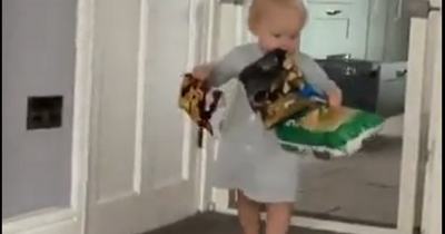 Tot goes viral after mum catches her raiding snack cupboards in hilarious clip