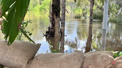 Flooded Lachlan River continues to rise at Forbes, evacuated residents told not to return home