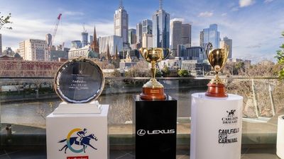 From Smokin' Romans to Anamoe and Deauville Legend, the leading chances for the Caulfield Cup, Cox Plate and Melbourne Cup