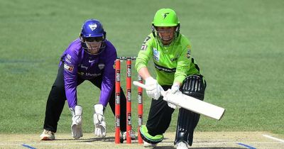 Cricket: Hall returns for one last hurrah in WBBL