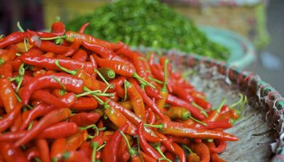 Turn up the heat — chili peppers linked to health benefits