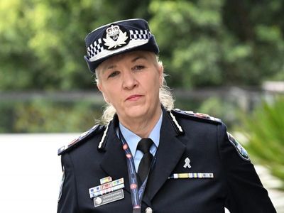 Qld top cop to review all abuse complaints