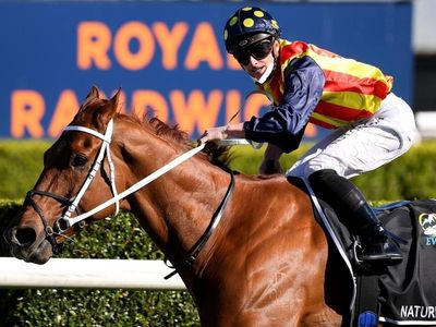 Stud deal adds intrigue to $15m Everest