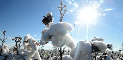 Cotton on: one of Australia's most lucrative farming industries is in the firing line as climate change worsens
