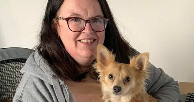 Woman devastated after seeing pet dog killed in front of her during morning walk