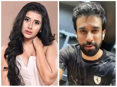 Charu Asopa and Rajeev Sen unfollow each other on social media yet again