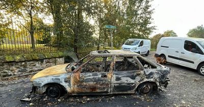 Destroyed vintage car torched and abandoned slapped with warning notice - despite having no wheels