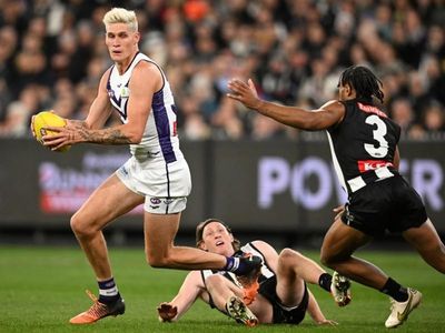 Dogs AFL recruit Lobb 'on outer' at Freo