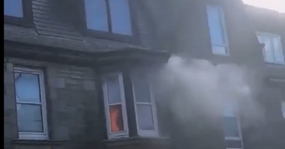 Police uncover £1m cannabis farm after fire in Scots flat