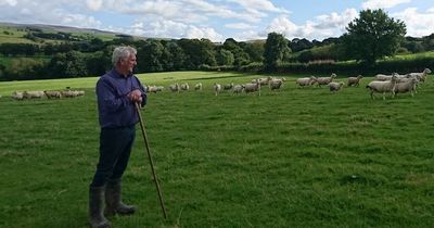 Welsh farming unions welcome £161m early payment scheme for farmers