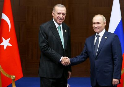 'No waiting': Turkey, Russia to act on Putin's gas hub offer