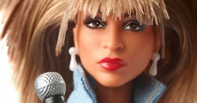Tina Turner turned into Barbie doll to celebrate anniversary of hit song