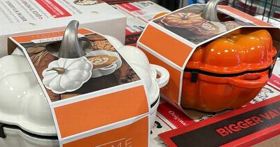 Home Bargains shoppers 'running' for pumpkin dish that is £252 cheaper than Le Creuset