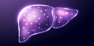 Helping the liver regenerate itself could give patients with end-stage liver disease a treatment option besides waiting for a transplant