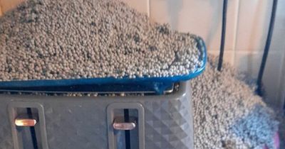 Thousands of polystyrene balls blow into woman's flat every day